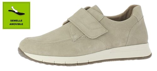 2217-7-PLATINO (1) (1)