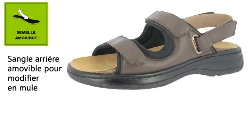2310-6-MARRON (1) (1)