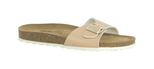 PO-522513-NEW-ARIZONA-ROSE-0