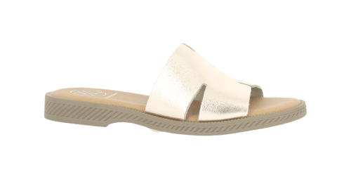 VE-ANKARA-SALMON-0-min