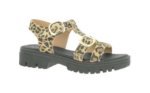 VE-DELTA-LEOPARD-0-min