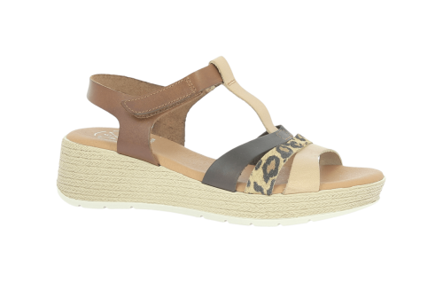 VE-YAMUNA-COMBI-MUSHROOM-0-min